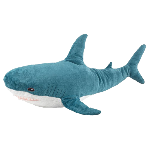 shark